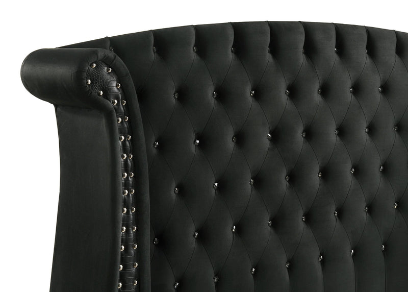 Barzini Upholstered Queen Wingback Bed Black - 300643Q