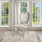 Bently Side Chair (Set-2) - DN01369