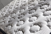 Biorythmic Sleep Eurotop Queen Mattress - DMV FurnitureQueen Mattress