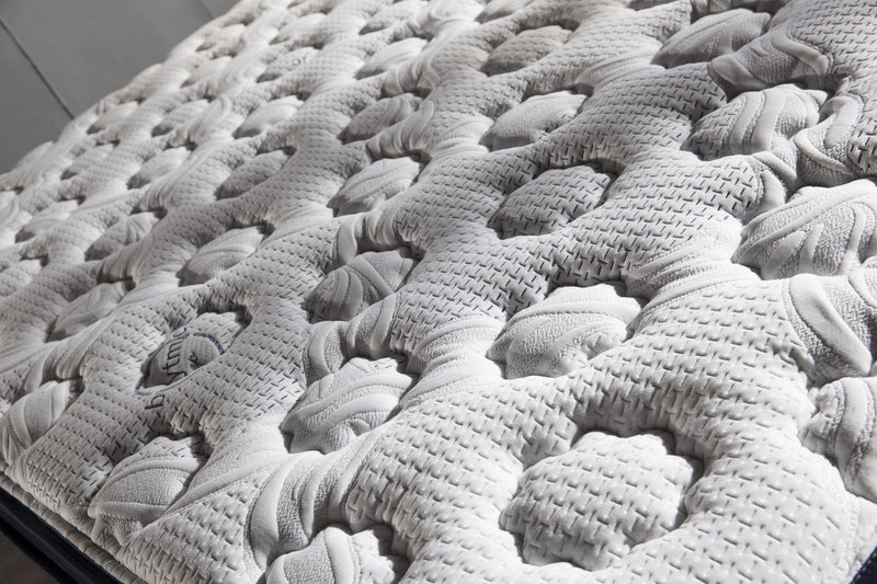 Biorythmic Sleep Eurotop Queen Mattress - DMV FurnitureQueen Mattress