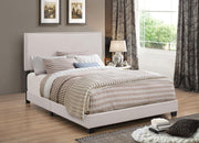 Boyd Upholstered Queen Panel Bed Ivory - 350051Q