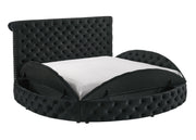 Brigitte Black King Upholstered Storage Panel Bed - DMV FurnitureKing Bed