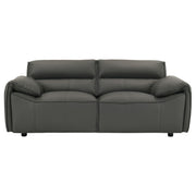 Buxton 2-piece Leather Upholstered Sofa Set Graphite - 509504-S2