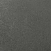Buxton Top Grain Leather Upholstered Loveseat Graphite - 509505