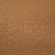Buxton Top Grain Leather Upholstered Sofa Orange - 509501