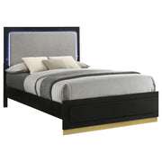Caraway Wood California King LED Panel Bed Black - 224781KW