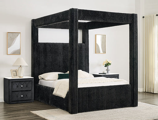 Carla Q Hb+Fb+H/F Canopy Black - 5118BK-Q-HBFB