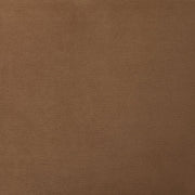 Caygan Pillow - DMV FurniturePillow