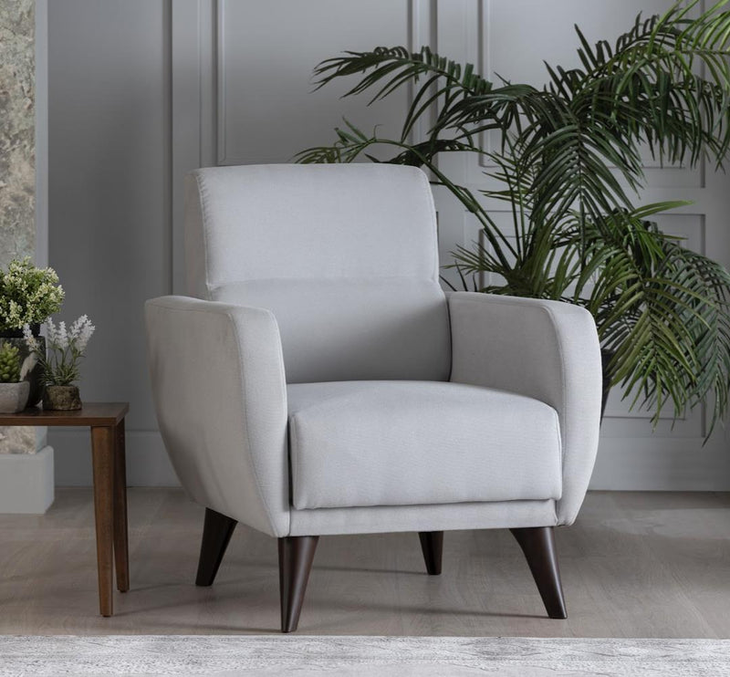 Chair In A Box - Flexy W/Storage(Zigana Light Gray) - DMV FurnitureLiving Room Chair