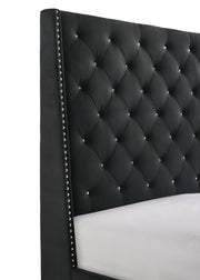 Chantilly Black Velvet Queen Upholstered Bed - DMV FurnitureQueen Bed