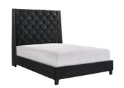 Chantilly Velvet Black Upholstered Queen Bed - DMV FurnitureQueen Bed