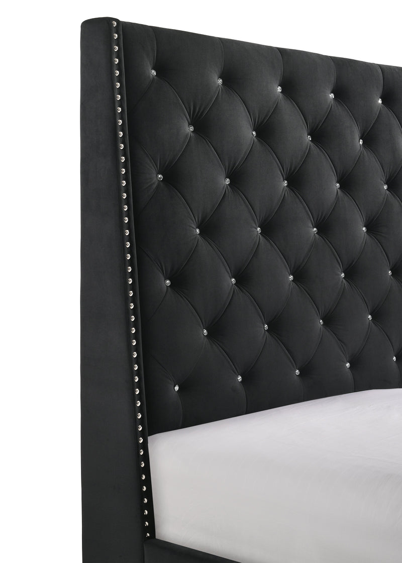 Chantilly Velvet Black Upholstered Queen Bed - DMV FurnitureQueen Bed