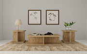 Cortona 3-piece Coffee and End Table Set Mango - 706178-S3