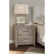Culverbach Gray Panel Youth Bedroom Set - DMV FurnitureYouth Bedroom Set