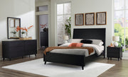 Danziar Black Panel Bedroom Set - DMV FurnitureBedroom Set