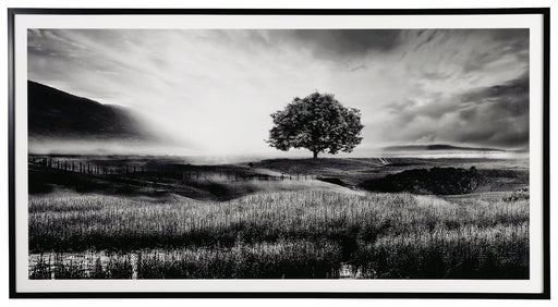 Deborland Wall Art - DMV FurnitureWall Art