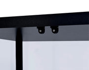 Delphinium 4-Shelf Clear Glass Curio Display Cabinet Black - 950170