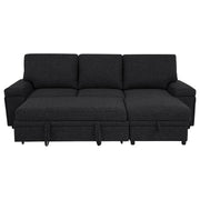 Demko Sleeper Sectional Sofa with Speaker and Storage Chaise Black - 500357