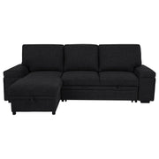 Demko Sleeper Sectional Sofa with Speaker and Storage Chaise Black - 500357