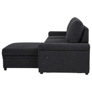 Demko Sleeper Sectional Sofa with Speaker and Storage Chaise Black - 500357