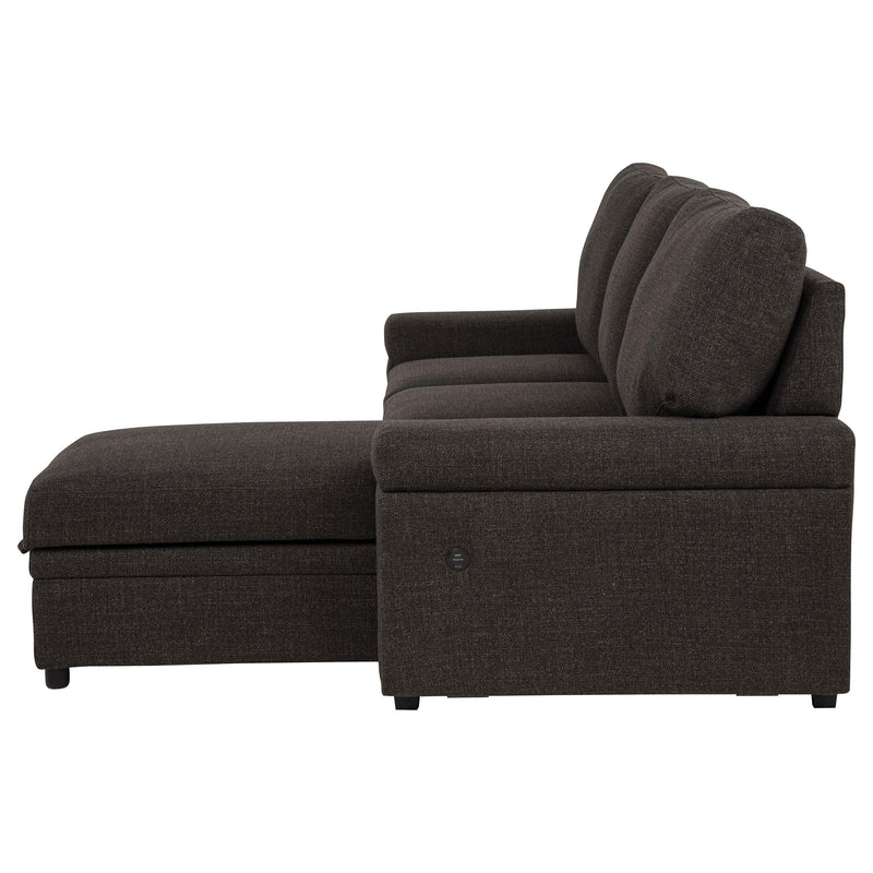 Demko Sleeper Sectional Sofa with Speaker and Storage Chaise Brown - 500356