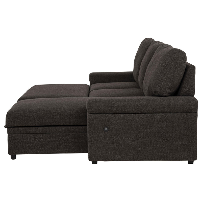 Demko Sleeper Sectional Sofa with Speaker and Storage Chaise Brown - 500356