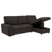 Demko Sleeper Sectional Sofa with Speaker and Storage Chaise Brown - 500356
