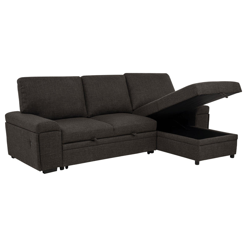 Demko Sleeper Sectional Sofa with Speaker and Storage Chaise Brown - 500356