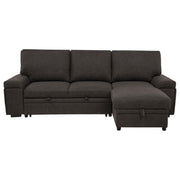 Demko Sleeper Sectional Sofa with Speaker and Storage Chaise Brown - 500356