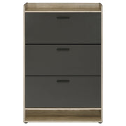 Denia 3-tier Engineered Wood Shoe Cabinet Grey - 950404