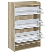 Denia 3-tier Engineered Wood Shoe Cabinet White - 950403