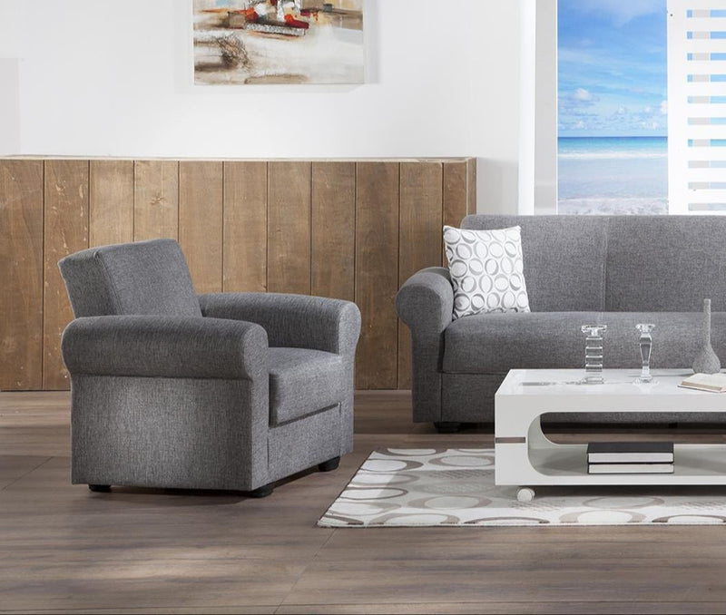 Elita S Armchair (Diego Gray) 2 Pieces - DMV FurnitureLiving Room Chair