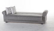 Elita S Sleeper (Diego Gray) Living Room Set - DMV FurnitureLiving Room Set