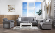Elita S Sleeper (Diego Gray) Living Room Set - DMV FurnitureLiving Room Set
