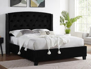 Eva Black Upholstered Queen Bed - DMV FurnitureQueen Bed