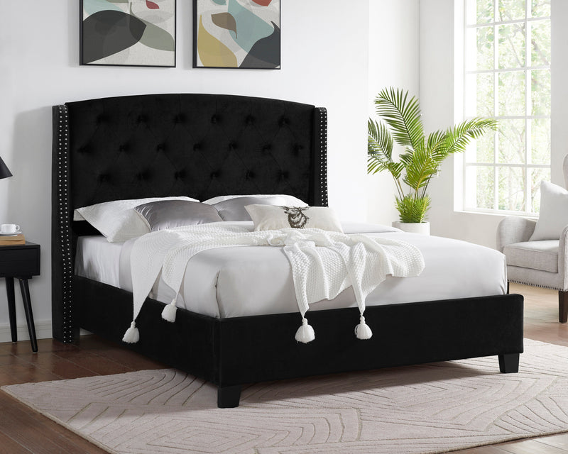 Eva Black Velvet King Upholstered Bed - DMV FurnitureKing Bed