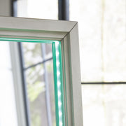 Evesen Champagne Floor Standing Mirror/Storage - A8010380