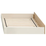 Evren Twin-over-Twin Bunk Bed with Trundle and Ladder Tri-Tone - 460620-SET