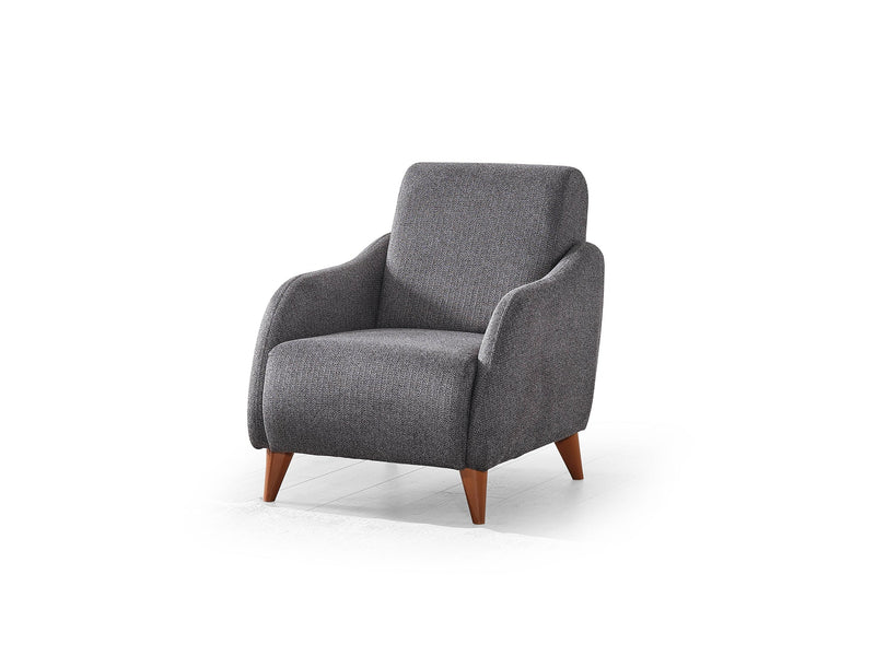 Fabia Chair in Anthracite - 200-ELIF-FAB-A411-B