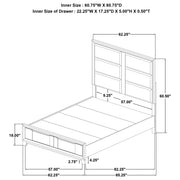 Farre Queen Upholstered Storage Platform Bed Dark Brown - 225320Q