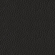 Glossmore Sofa and Loveseat in Black - PKG023973