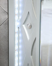 Gunnison Wood Queen LED Panel Bed Silver Metallic - 223211Q