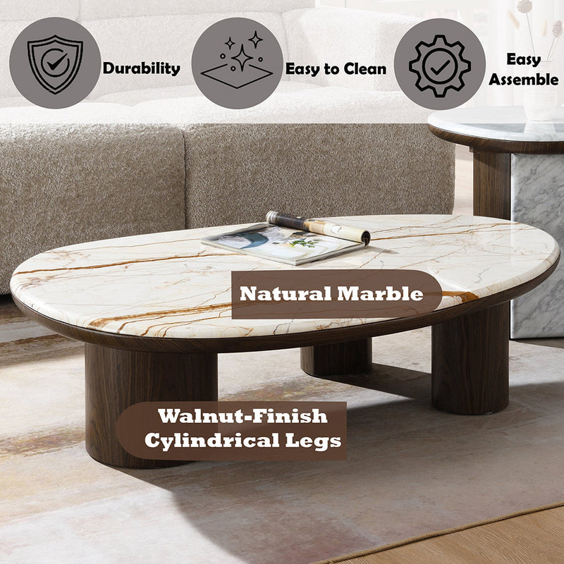 Haidar Coffee Table w/Natural Marble - LV04565