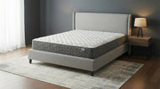 Hayes Eastern King Firm Tight Top Hybrid Mattress White - 350170KE