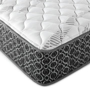 Hayes Eastern King Firm Tight Top Hybrid Mattress White - 350170KE