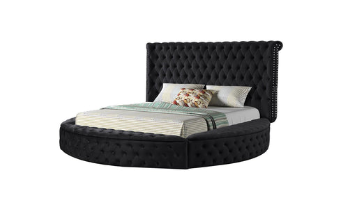 Hazel Queen Bed Black - Hazel Queen Bed Black