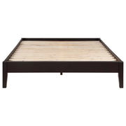 Hounslow Queen Universal Platform Bed Cappuccino - 300555Q