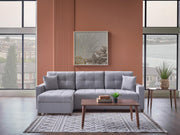 Ivy Sectional (Koopsi Basic Gray110) Brown Legs - DMV FurnitureSleeper Sectional