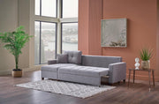 Ivy Sectional (Koopsi Basic Gray110) Brown Legs - DMV FurnitureSleeper Sectional