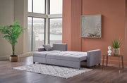 Ivy Sectional (Koopsi Basic Gray110) Brown Legs - DMV FurnitureSleeper Sectional